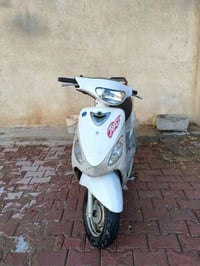 منغولي • سافاني/تايكر • ٢٠٢٥