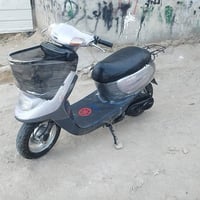 بطه • بلاديه • شغال