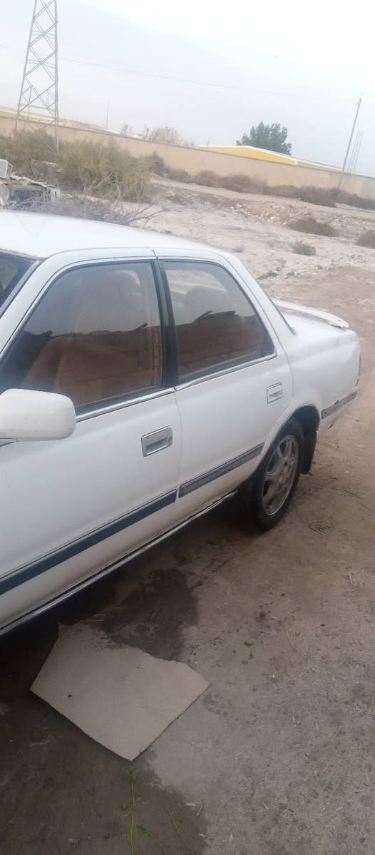 السلام عليكم كرسته كصيف لبيع مكفولة من العيب الشرعي والكصه والنقل وكافه الاصوليات مكينه وكير ونجي سنويه مشروع وطني رقم واسط السعر 40وبيه  المكان الناصريه شطره رقم راعيه ***********
