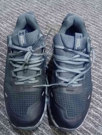 أندر آرمور • قياس ٤٣ • عسلي