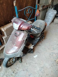 بطه • نضيف • كابريته اصلي