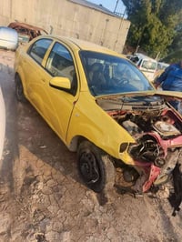 افيو • ٢٠٠٩ • بابل