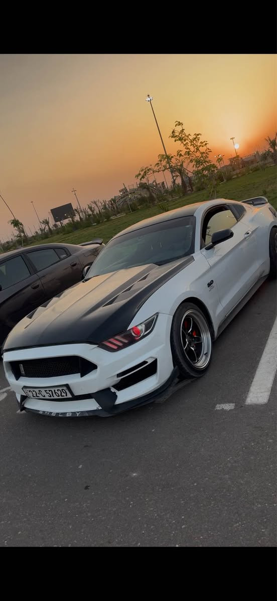 موستنك  2017
v6 كير عادي 

لايتات متغير اللوان +عدسات
شاشة فول مواصفات
اضاءة بالدشبول 
دمام صوت 
اكتف كزوز و تفريغ اكس بايب
عليها ٣ برمجات قوية 
بنيد محدث فايبر 
ضربتها مرفقة بالصور و صار عندي جاملق خلفي عكس السايق 
لا شاصي لا لغد

و بقية المواصفات مبينة بالصور 

رقم شمالي باسمي  تحويل ثاني يوم 
سنوية تنتهي بال٢٠٢٩

السعر ١١٥ 
مكاني بصرة 
*********** البصرة, العراق
