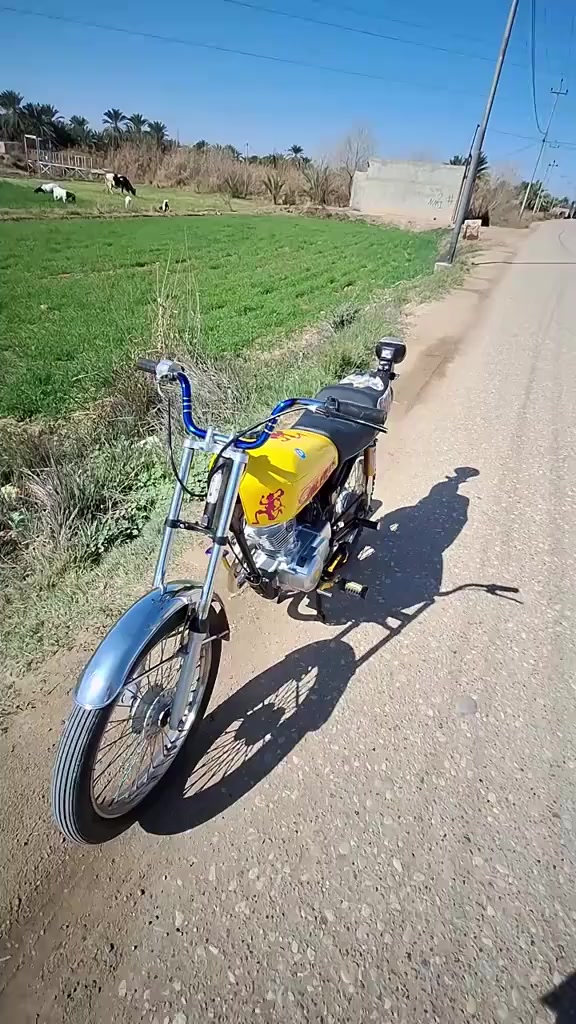 سلام عليكم  دراجة توهة معمره كله جديد وبيه غراض تزويد أوراق للبيع سعر خاص او اتصل علا الرقم  ***********
