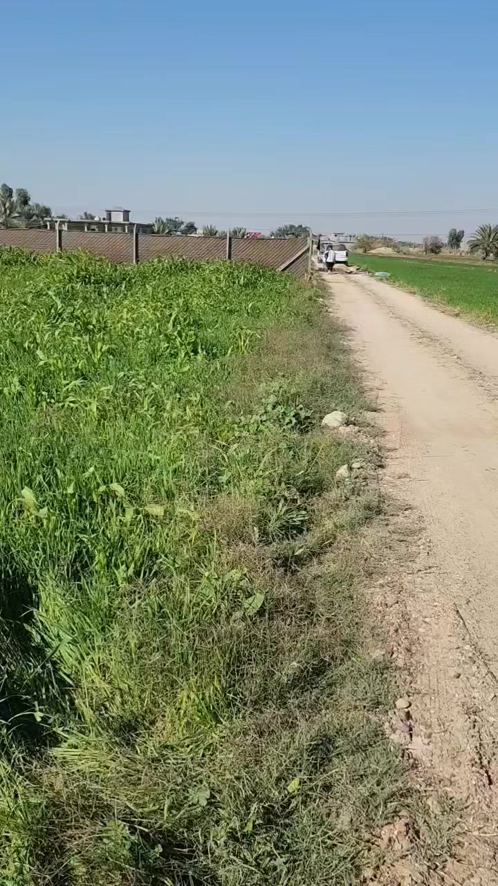 ارض زراعيه للبيع في بغداد عكركوف 9 دونم جاهزه مي وكهرباء وارض صالحه للزراعه والسكن


**إذا كنت صاحب هذا الإعلان وتريد حذفه لأي سبب، رجاءا أرسل رسالة إلى الدعم الفني**