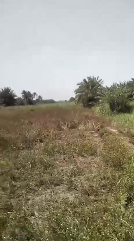 ✅️7دوانم في منطقة شط الله 
الواجهة 100 متر 

وجه على شارع تبليط  عرض 10 متر 

✅️متوفرة كافة الخدمات

تبليط، ماء، كهرباء، مدارس 

طابو  زراعي سند 25 

✅️الموقع شارع نجف كربلاء   - منطقة

شط الله 
 تبعد كيلو عن الشارع العام 

📞 إتصل //***********
***********
