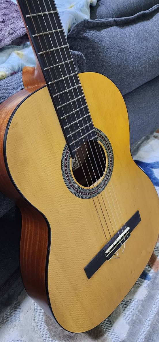 كيتار بريفادا كلاسيك ايطالي فلامنكو صوته كلش راقي يحتاجله فقط تبديل اوتار لان اوتاره قديمه وهنا عازفلكم بي طبعا الكيتار من ٢٠١٨ عندي اخذته ٢٤٥ ورايده للبيع بسعره ١٧٠ بي طخات بسيطه كلش


**إذا كنت صاحب هذا الإعلان وتريد حذفه لأي سبب، رجاءا أرسل رسالة إلى الدعم الفني**