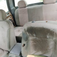 بيكاب • ٢٠٠٧ • بدون ارقام