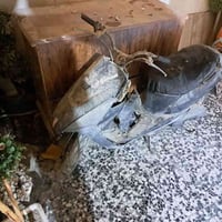 دراجه • عطلانه • العماره ميسان مغربه