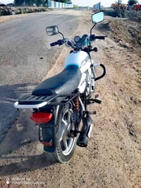 دراجه بوكسر كلاسك موديل 2020 السعر 500وبيه مجال   07817282561