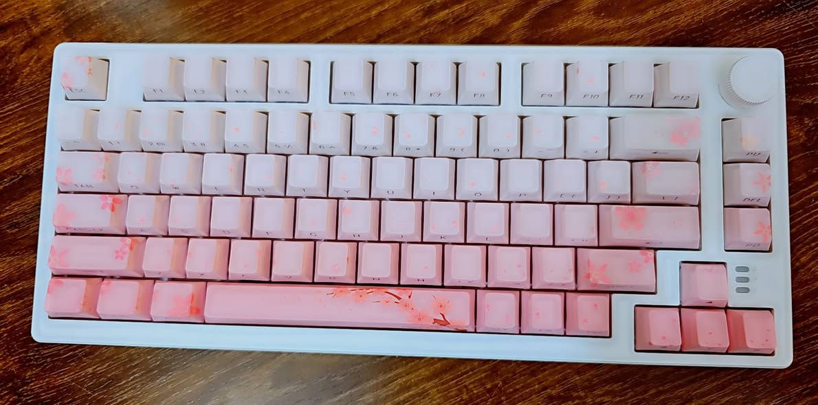 كيبورد ماركة DAREU موديل EK75 جديد غير مستخدم اللون وردي موشم بالورد احرف عامودية انارة RGB جميلة جداً ( للبيع / ادفع سعر بضمير ) متواجد فيس بوك و واتساب ***********
