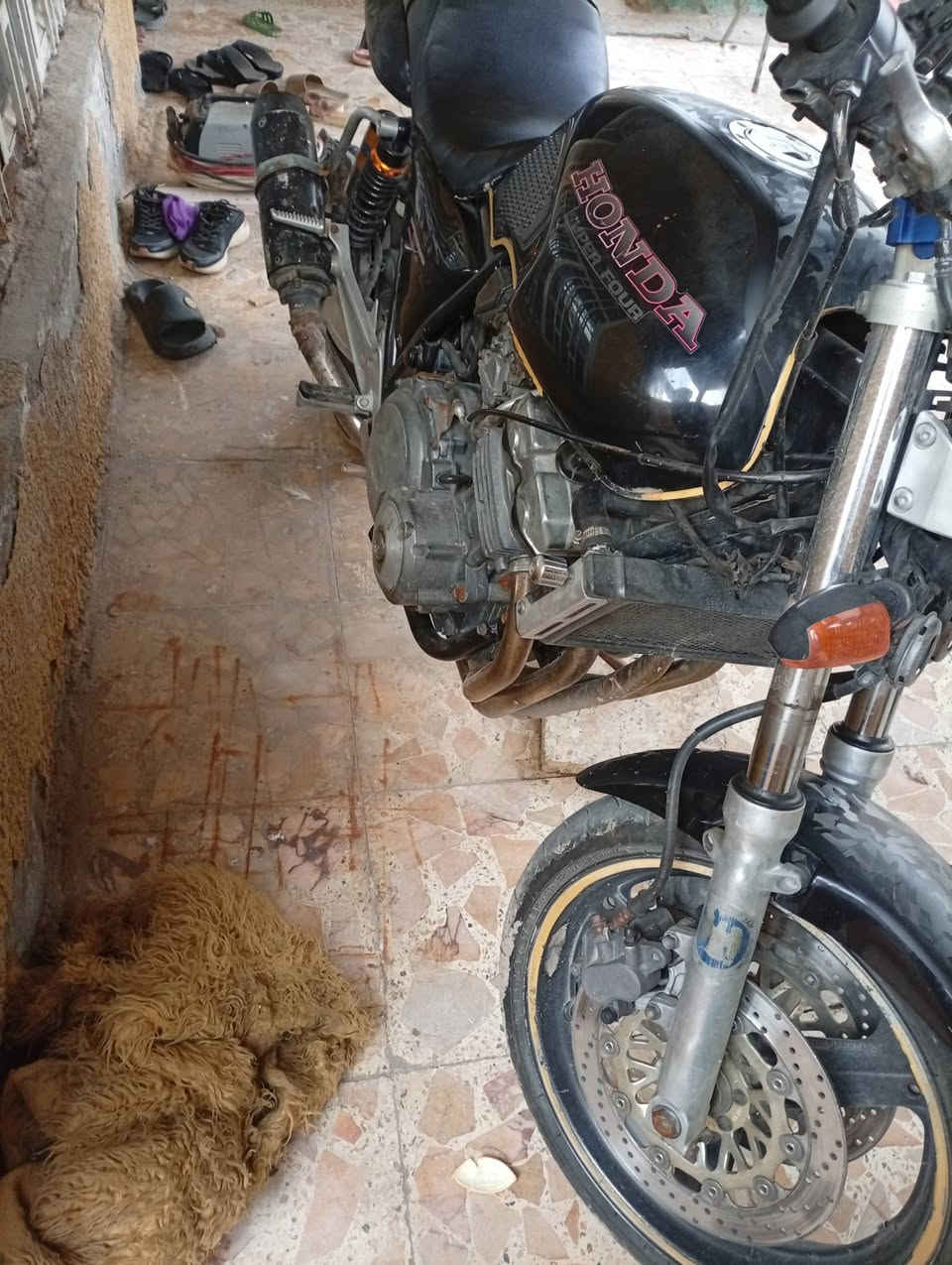 سلام عليكم دراجه هونده للبيع
السعر خاص ***********
