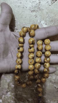 كهرب بولوني كبس ماكنتوش قديم كهرب كبس بدون اضافات خام قديم وزن 62 غم ع...