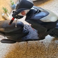 سكنس فحل • مراوس • خشونه