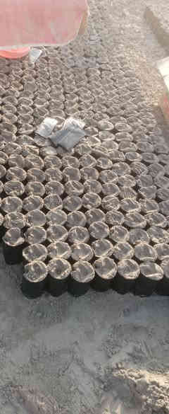 موجود كادر // تعباه جميع انواع الاكياس من 3 إلى كيلو وربع
***********
