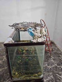 ترابيزة • حوض سمك • السليمانية