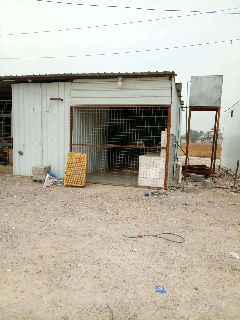 علوه مخضر و دجاج لليجار متكاملات في النساف ***********
و محل مال دوشنه
