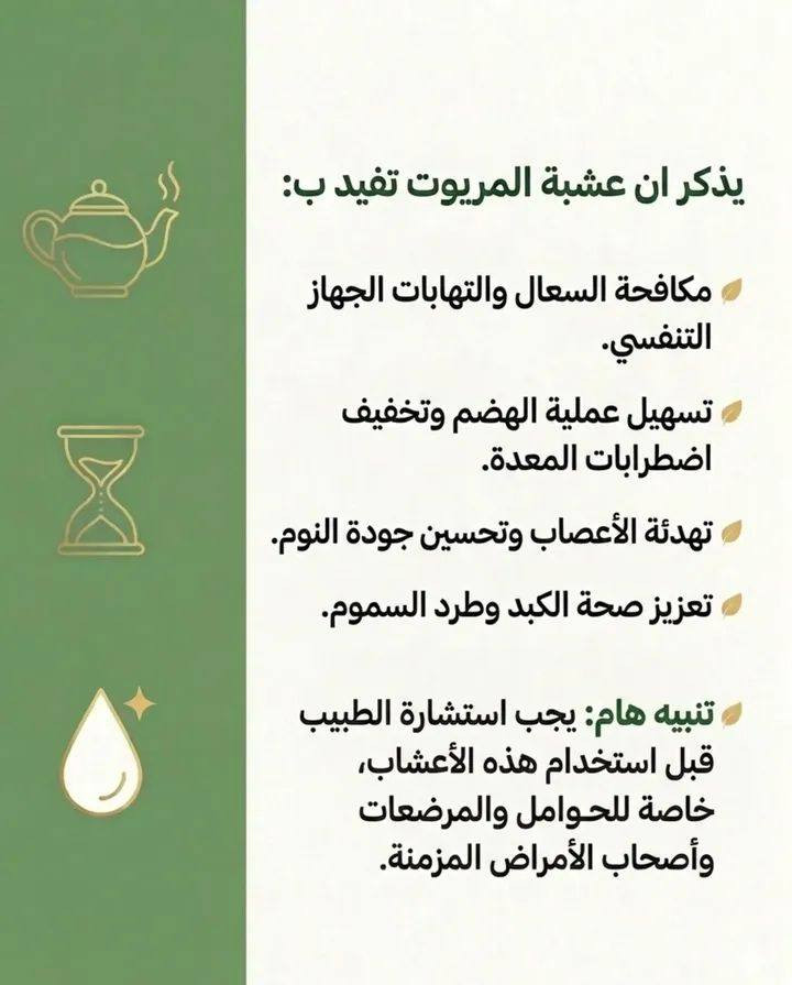 ألم الأذن ممكن يخلي يومج كله يتوقف.. والحل أحياناً يكون بأبسط الأشياء اللي تعوفها إلنا الطبيعة. 🌿✨
المريوت، أو "عشبة المعجزات" مثل ما يسموها البعض، هي الحل المثالي والمجرب لمشاكل الأذن والتهاباتها المستعصية. جلسة تبخير بسيطة بالبيت ممكن تغنيج عن هواية تعب.
اسحبي الشاشة حتى تعرفين الطريقة الصحيحة للتحضير وشنو هي الفوائد الثانية لهذي العشبة العظيمة. ⬅️
تمنياتنا الكم بدوام الصحة والعافية من معسب سيدة الأعشاب 
#معشب_سيدة_الاعشاب. 🍃


**إذا كنت صاحب هذا الإعلان وتريد حذفه لأي سبب، رجاءا أرسل رسالة إلى الدعم الفني**