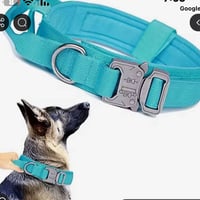 طوق كلاب • ميديم