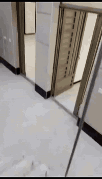 مستعدون صبغ شبابيك وأبواب🚪مع تنضيف بسعار مناسبه وعمل درجة اولى وعمل كافة أنواع الصبغ المنازل ولمحلات التجاريه
الموقع بغداد مدينة الصدر 🛣️

للتواصل بي واتساب او مراسلت الصفحه 
الأتصال 📱⬅️***********
واتساب
