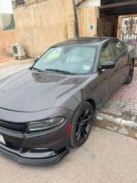 فول مواصفات • ٢٠١٦ • رقم بصرة
