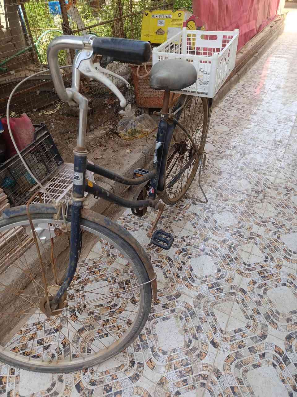 باسكل للبيع سعر 60
يرادله ترتيب 
البصرة قضاء المدينة


**إذا كنت صاحب هذا الإعلان وتريد حذفه لأي سبب، رجاءا أرسل رسالة إلى الدعم الفني**