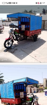 ستوته • دايون • ٢٠١٩