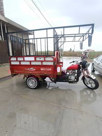 ستوتة • موديل ٢٠٢٠ • شرط