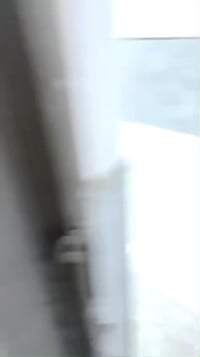 مشتمل الايجار مساحه ٥٠متر بيت جديد مثل ما موضح بالفديو  العنوان الشعب ...