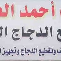 دجاج عراقي • ذبح شرعي • توصيل المحموديه