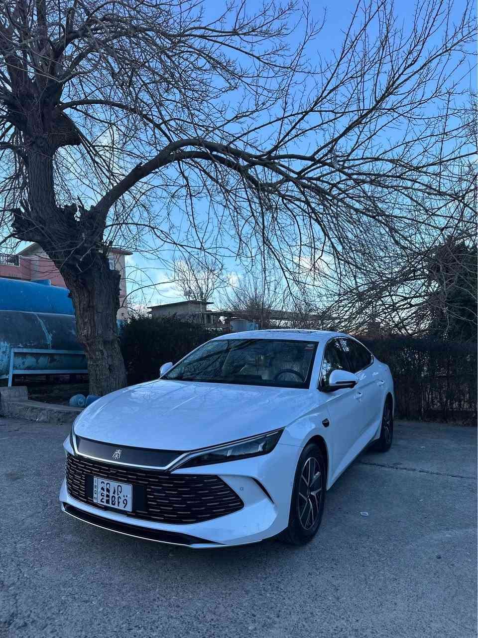 BYD QIN L 2025 
13 camera naw zard full full
15000 Km Clen 
Hamw shtak ba shart banaw krd 
185 $ majalke kam أربيل, العراق


**إذا كنت صاحب هذا الإعلان وتريد حذفه لأي سبب، رجاءا أرسل رسالة إلى الدعم الفني**