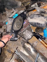 تفصيخ تفصيخ ثعلب كابريتر راح اذكر كله حاجه وسعره مكاني بغداد الغزاليه ...