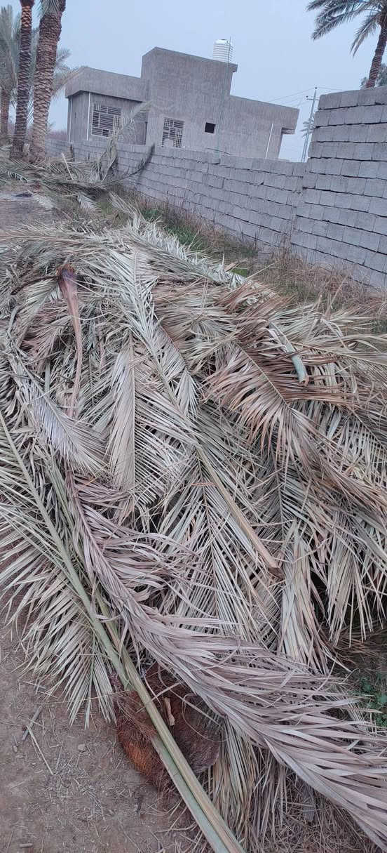 اي ريد كرب وسعف موجود.  بلاش  الي يريد يتصل ***********
