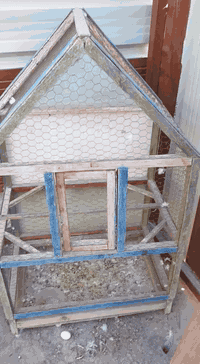 قفص الطيور الحب ل يريده يجي عنوان 
بغداد البياع حي #معالف.      ‏‪***********‬‏
