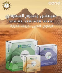 سيمنس • جمجوم سعودي • سوك الشيوخ