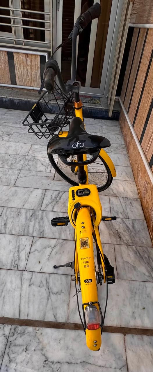 بايسكل ماركة ofo
سعر175


**إذا كنت صاحب هذا الإعلان وتريد حذفه لأي سبب، رجاءا أرسل رسالة إلى الدعم الفني**
