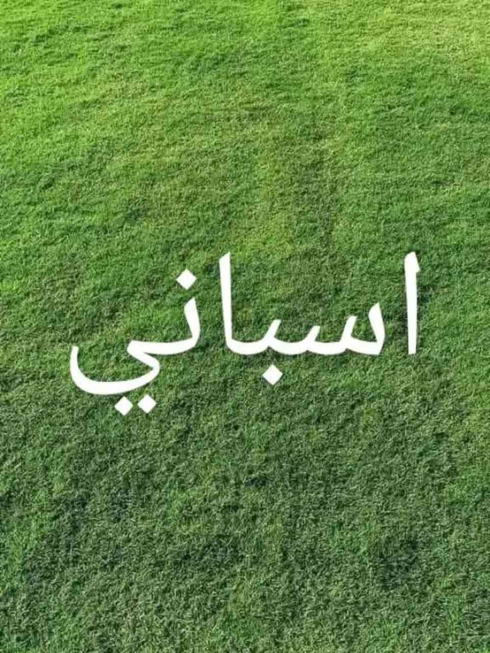 السلام عليكم 🌱🇮🇶
لكل شخص يشوف هالكلام، إحنا عدنا مشروع ثيل طبيعي وتشجير وحدائق، وهدفنا مو بس تجارة أو شغل، هدفنا الحقيقي نخدم العراق ونزيد المساحات الخضراء ونخلي مدننا وشوارعنا وبيوتنا أجمل وأرتب 🌿
الثيل الطبيعي مو بس منظر حلو، لا، يساعد بتخفيف الحرارة ويعطي راحة وجمالية للمكان ويخلي الجو أهدأ وأرتب 🌴
وإحنا نوفر أنواع ثيل طبيعي ممتازة وتجهيز مرتب يناسب: الحدائق، الدوارات، البيوت، المنتزهات، الملاعب، والمشاريع الكبيرة والصغيرة.
وكل شخص يحب يدعم فكرة تخدم البيئة وتخلي بلدنا أحلى وأخضر، فأهلاً وسهلاً بيه ❤️🇮🇶
📞 للتواصل: ***********
***********
إيد بإيد نكدر نسوي بصمة حلوة ونخلي العراق أخضر وأجمل 🌱
