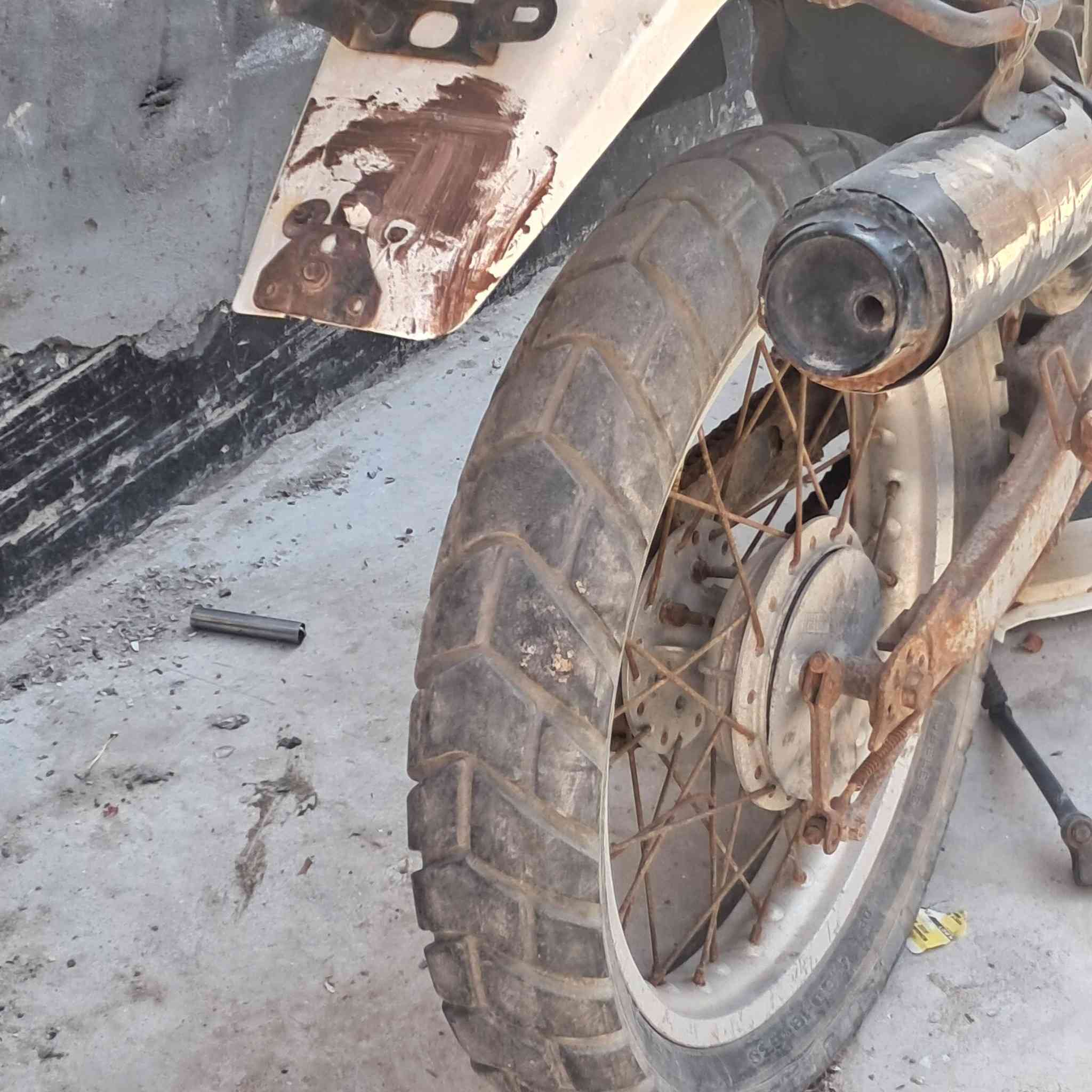 السلام عليكم ( يوجد.توصيل) 
ويل قفاز هوندا  امامي نضيف كلش مابه قطرت خياس  مع تاير.  حجم 21
جاملغ اماي. 
جاملغ خلفي 
وجه مع الايت 
***********
