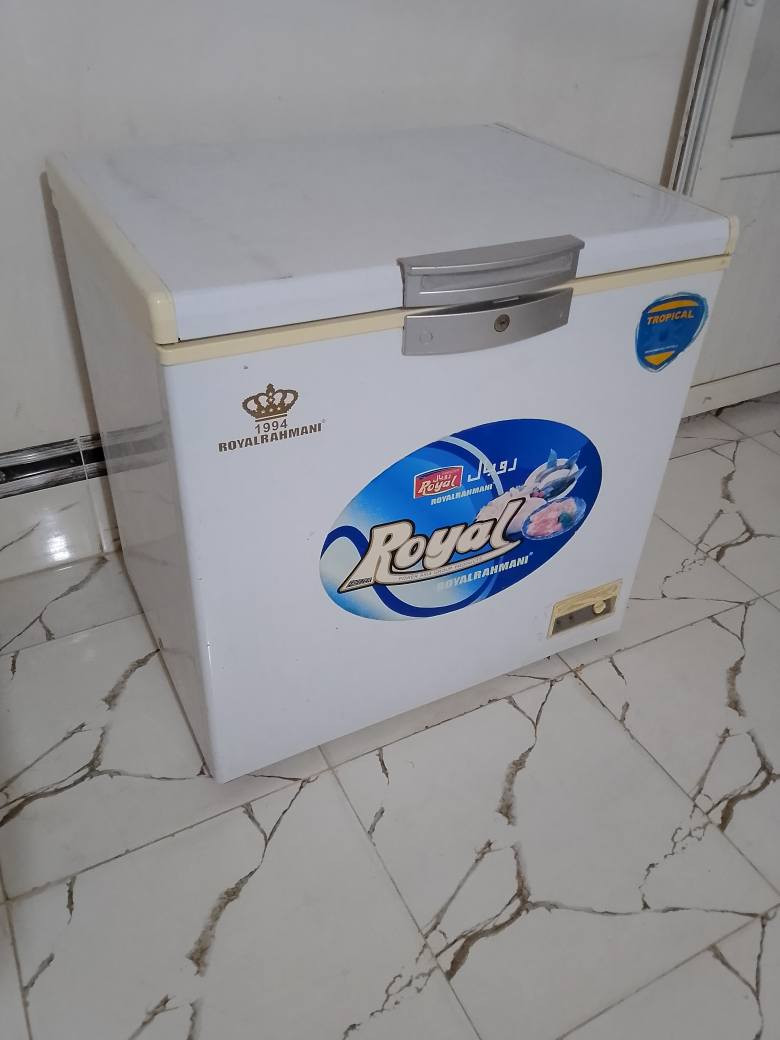 مجمده شرط جديده فول يرهم مراوس عاطل شغال والعنده هم نشتري ‏‪***********‬‏ كركوك, العراق
