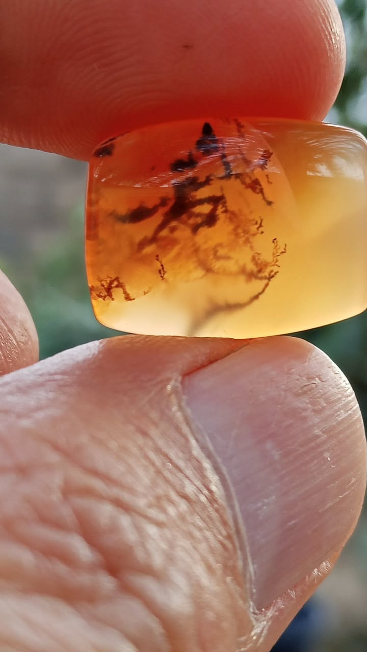 رواعع اليماني الانسي الحر الملكي المصور ول الشجري الغير مجمر التواصل خاص


**إذا كنت صاحب هذا الإعلان وتريد حذفه لأي سبب، رجاءا أرسل رسالة إلى الدعم الفني**