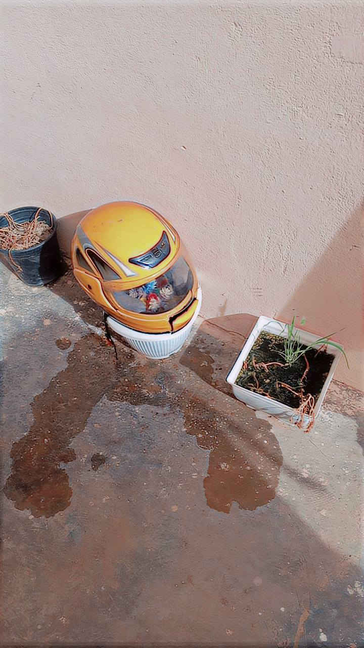 غراض للبيع
خوذه ب 15

 صلنصه كاربون فايبر 10

يده رجل ب 5

 دعاميه ب 3

شفقه مازده ب 2

سيبايه 2 الف و 3

دشبول فضائي 10

قبق كلجات 7

فج رياضي ماكس عام ب 10

دبلات فراشه ب 15

مكاني خانقين بوابه 7 نيسان

كابيتر 150 جديد

بوشه 200


**إذا كنت صاحب هذا الإعلان وتريد حذفه لأي سبب، رجاءا أرسل رسالة إلى الدعم الفني**