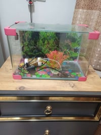 حوض سمك • ٤٠×٢٠ • فلوجه حي نزال