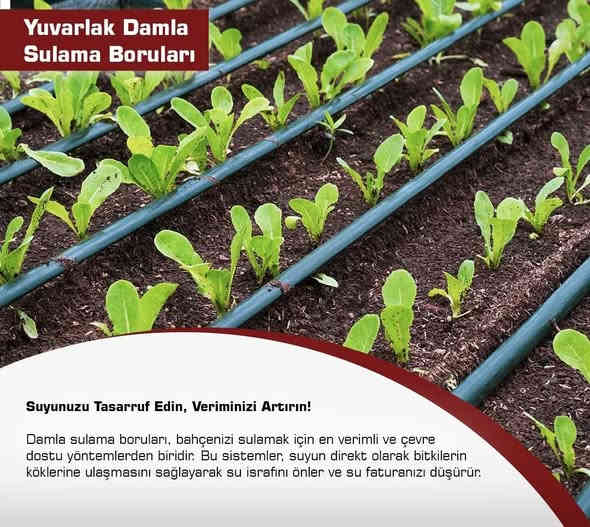 السلام عليكم ..
الى الاخوه اصحاب الشركات والمقاولين والمهندسين والسبّاكين في جميع انحاء العراق 
يسُر شركتنا (( شركة Zanobia.iraq زنوبيا  )) الوكيل الحصري لشركة SANICA  التركيه لمواد انابيب ال PPR  و PVC  والمرشات الزراعيه وجميع ملحقاتها بتزويدكم بكافة المنتجات وباعلى جوده 

- المنشأ تركي . 
- المواد الاوليه خام 100‎%‎ .
- تحمل الضغط العالي 100‎%‎ .
- سهل الكوي .
- توفير جميع القياسات والاحجام وملحقاتها .
- شرط الفحص المختبري الفيزيائي والكيميائي .
- البيع بالجمله فقط .

الاخوه التجار : مستعدون للعمل بنظام الوكالات في جميع المحافظات .

الاخوه السباكين : توفير الدعم اللازم لكم من خلال دعم شهري كهدايا وحوافز شهريه .

للاستفسار حول الاسعار والمواصفات يمكنكم مراسلتي على الخاص او الاتصال بالارقام التاليه : 

***********
***********
*********** 

واتساب  (( *********** )) 
ايميل  mohammadalobaidy@zanobia-iq.com
