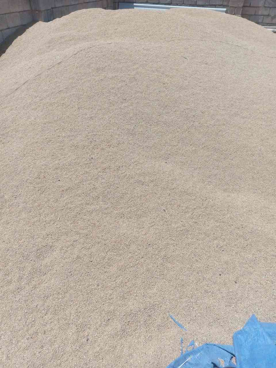 الحنطه وفيه درجه اول للبيع تقريبن ٢٥ طن


**إذا كنت صاحب هذا الإعلان وتريد حذفه لأي سبب، رجاءا أرسل رسالة إلى الدعم الفني**