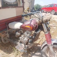 ستوته • تايجر • ٢٠٢٠