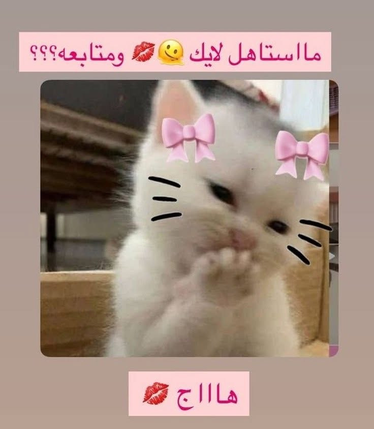 🙏❤️🫶🏻


**إذا كنت صاحب هذا الإعلان وتريد حذفه لأي سبب، رجاءا أرسل رسالة إلى الدعم الفني**