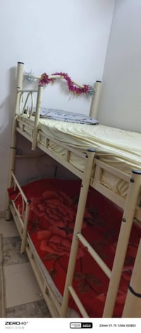 سرير طابقين • مع دوش • اربيل