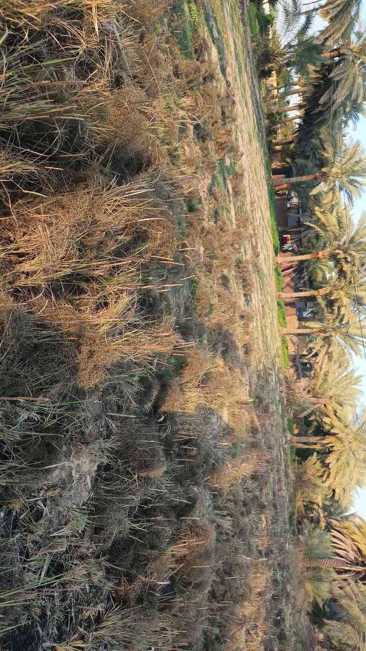 السلام عليكم قطعه أرض المساحة دونم وربع الموقع بابل السياحي قريه المزيديه 
مجاور مرقد الإمام الحسن تتوفر فيها كافه الخدمات 
***********
