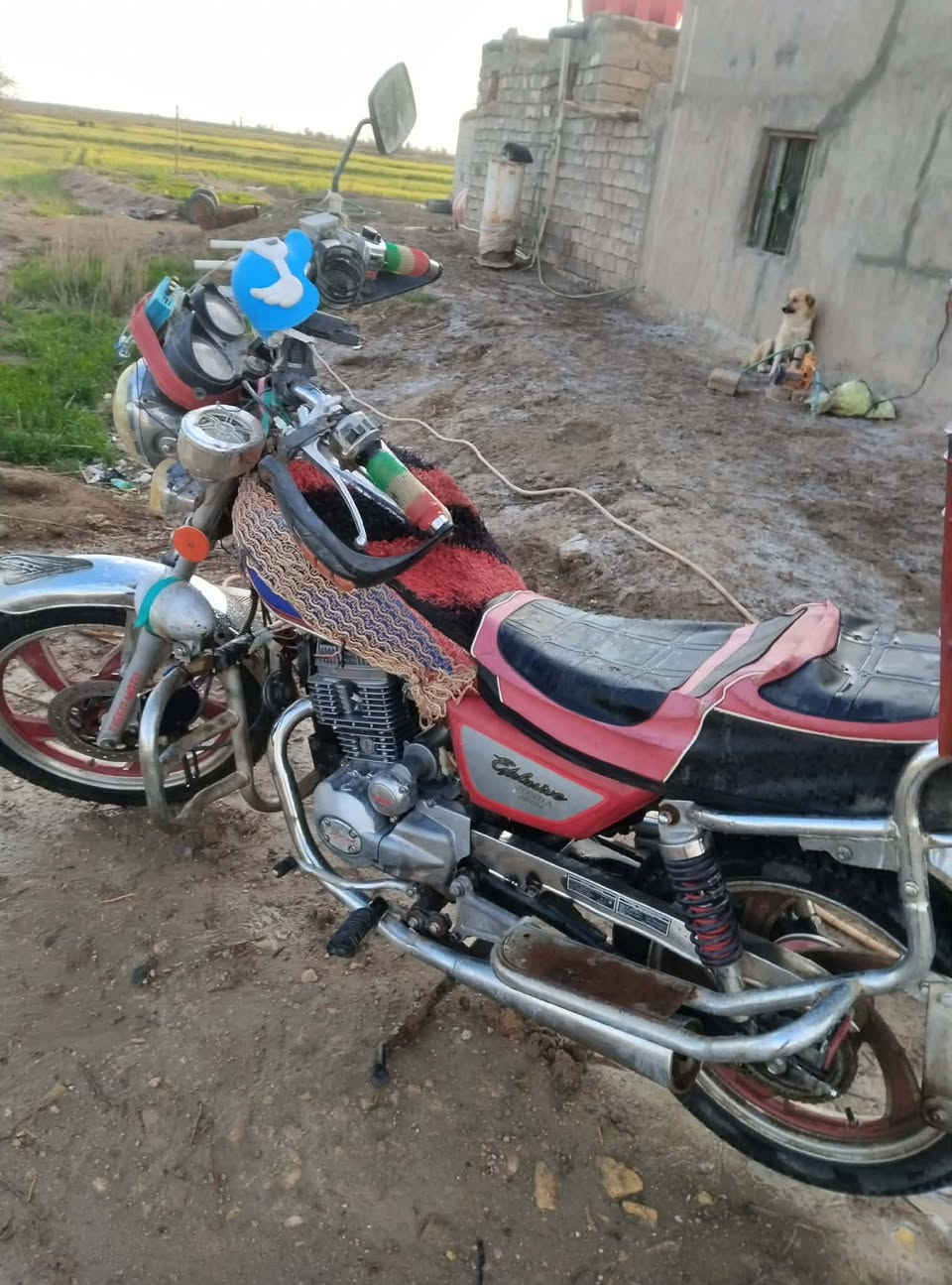 دراجة جوندا اوراق اصولي  موديل 19 على وضع الشركة وكفالة اذا مفتوح برغي بيها السعر 750 الف وبيها مجال للطيبين  مكانها الديوانية البدير 
الاستفسار الاتصال  ***********
