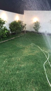 عرب عباس • ٣٠٠م • مشتمل